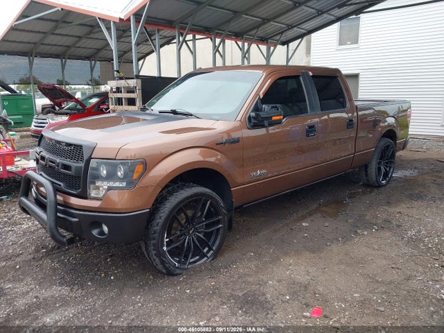 2011 Ford F-150 Xlt მანქანა იყიდება აუქციონზე, vin: 1FTFW1EF7BFB06957, აუქციონის ნომერი: 46105882