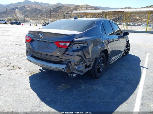 46106484 :رقم المزاد ، 4T1B11HK3KU732230 vin ، 2019 Toyota Camry Se مزاد بيع