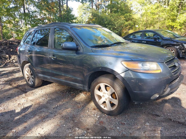 Auction sale of the 2009 Hyundai Santa Fe Limited, vin: 5NMSH13E19H265036, lot number: 46107463