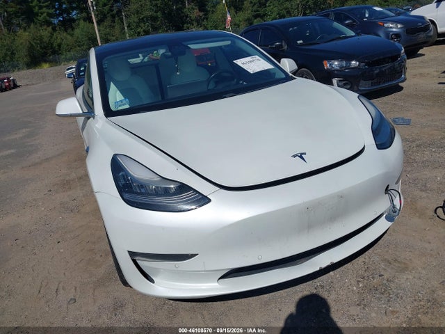 46108570 :رقم المزاد ، 5YJ3E1EA6KF332549 vin ، 2019 Tesla Model 3 Long Range/mid Range/standard Range/standard Range Plus مزاد بيع