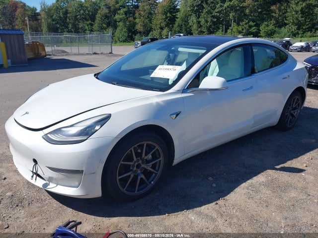 46108570 :رقم المزاد ، 5YJ3E1EA6KF332549 vin ، 2019 Tesla Model 3 Long Range/mid Range/standard Range/standard Range Plus مزاد بيع