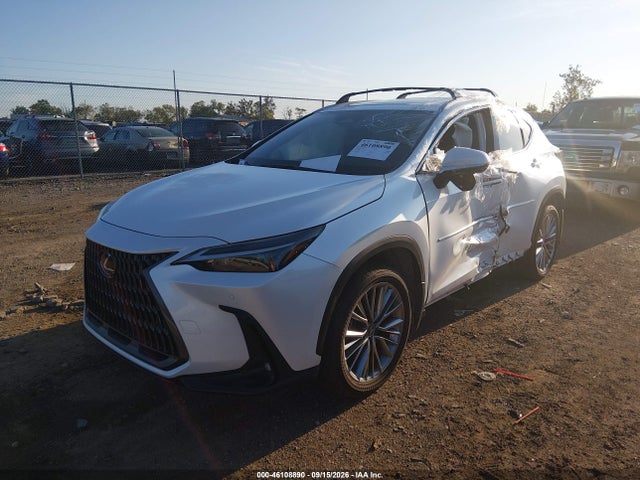 2025 Lexus Nx 350h Premium მანქანა იყიდება აუქციონზე, vin: JTJGKCEZ1S5027549, აუქციონის ნომერი: 46108890