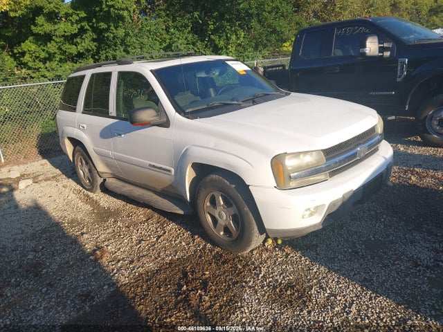 2003 Chevrolet Trailblazer Lt მანქანა იყიდება აუქციონზე, vin: 1GNDT13S032360767, აუქციონის ნომერი: 46109636