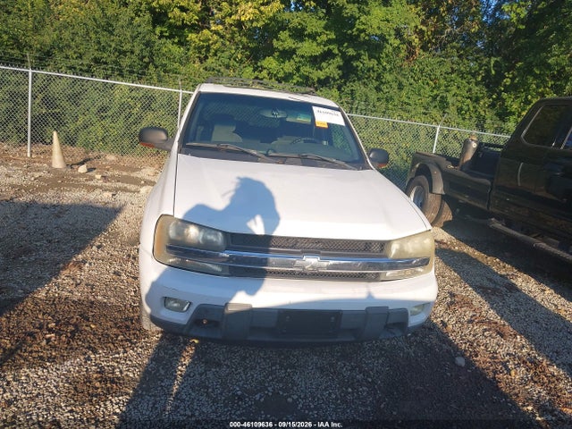 2003 Chevrolet Trailblazer Lt მანქანა იყიდება აუქციონზე, vin: 1GNDT13S032360767, აუქციონის ნომერი: 46109636