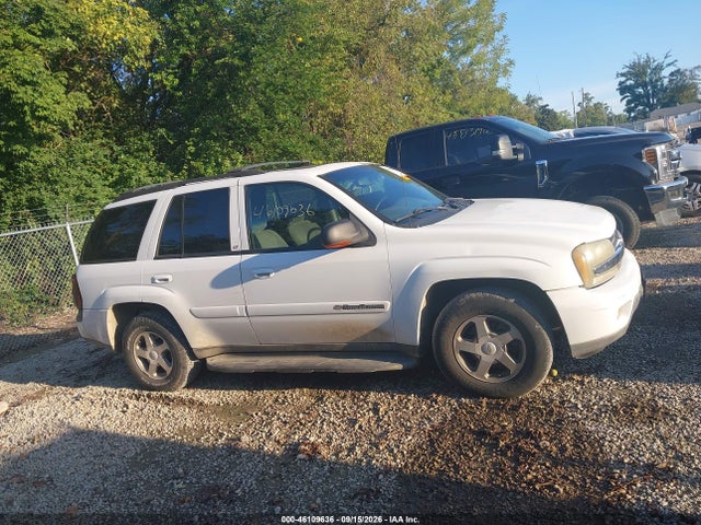 2003 Chevrolet Trailblazer Lt მანქანა იყიდება აუქციონზე, vin: 1GNDT13S032360767, აუქციონის ნომერი: 46109636