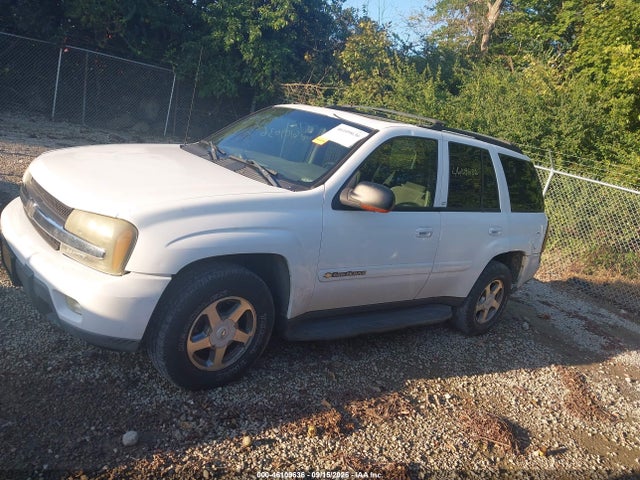 2003 Chevrolet Trailblazer Lt მანქანა იყიდება აუქციონზე, vin: 1GNDT13S032360767, აუქციონის ნომერი: 46109636