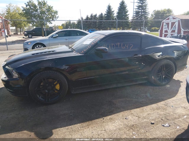 Продаж на аукціоні авто 2014 Ford Mustang Gt, vin: 1ZVBP8CF5E5304354, номер лоту: 46109647