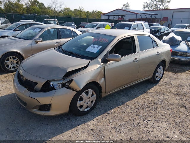 Продаж на аукціоні авто 2010 Toyota Corolla Le, vin: 1NXBU4EE8AZ247720, номер лоту: 46110546
