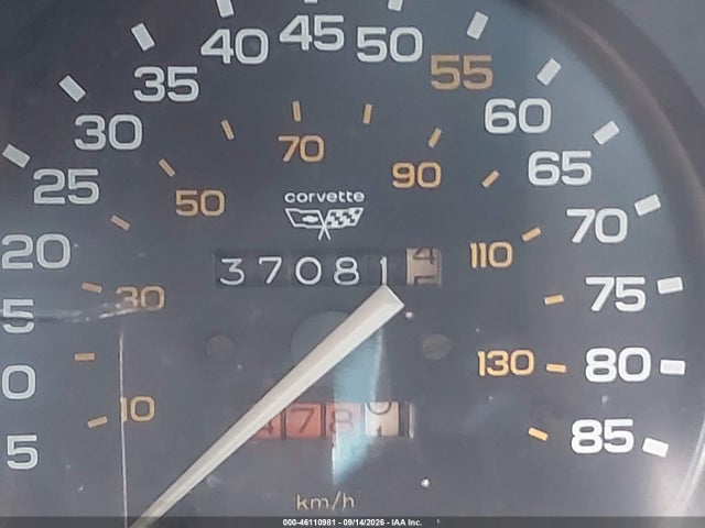 Продажа на аукционе авто 1982 Chevrolet Corvette, vin: 1G1AY8786C5100370, номер лота: 46110981