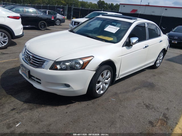 46111528 :رقم المزاد ، 1HGCP3F81AA031682 vin ، 2010 Honda Accord 3.5 Ex-l مزاد بيع