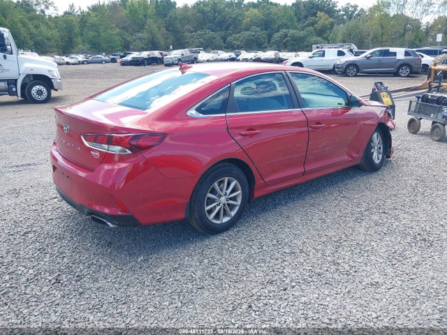 46111723 :رقم المزاد ، 5NPE24AF3KH798557 vin ، 2019 Hyundai Sonata Se مزاد بيع