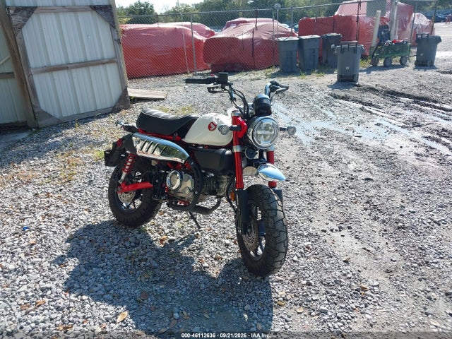 Honda Z125 Ma 2025 MLHJB0558S5000754 головне зображення