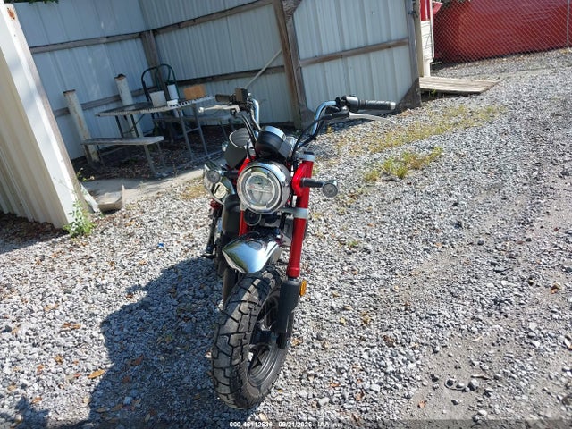 Honda Z125 Ma 2025 MLHJB0558S5000754 Image 5