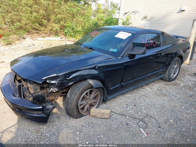 Aukcja sprzedaży 2005 Ford Mustang V6 Deluxe/v6 Premium, vin: 1ZVHT80N855194787, numer aukcji: 46113010