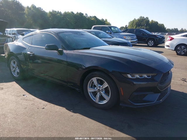 Продажа на аукционе авто 2024 Ford Mustang Ecoboost Fastback, vin: 1FA6P8TH7R5118123, номер лота: 46113616