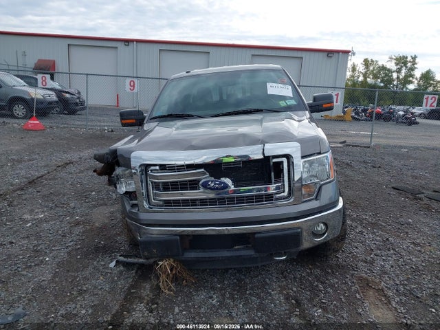 46113924 :رقم المزاد ، 1FTFX1EF6EFA83060 vin ، 2014 Ford F-150 Xlt مزاد بيع