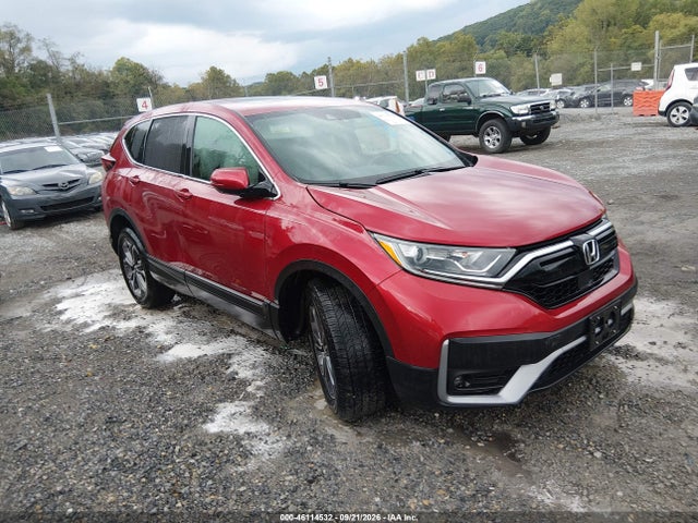Auction sale of the 2021 Honda Cr-v Awd Ex-l, vin: 5J6RW2H88ML022466, lot number: 46114532