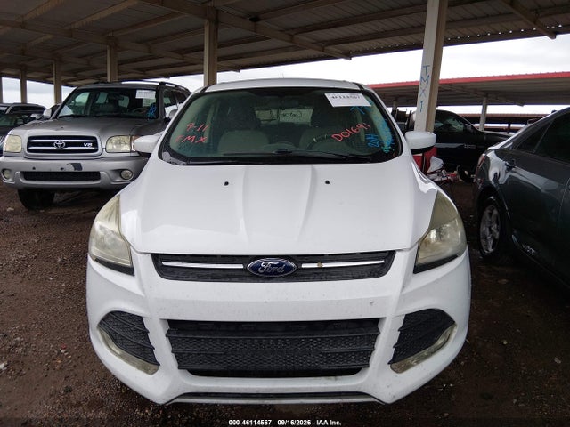 Ford ESCAPE SE 2014 1FMCU0G99EUD01691 Image 6