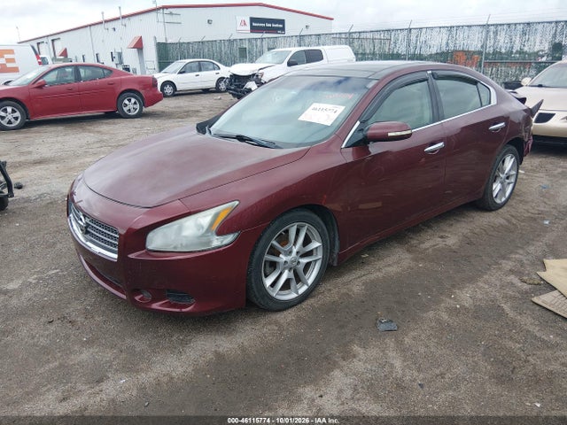 46115774 :رقم المزاد ، 1N4AA5AP1AC852292 vin ، 2010 Nissan Maxima 3.5 Sv مزاد بيع