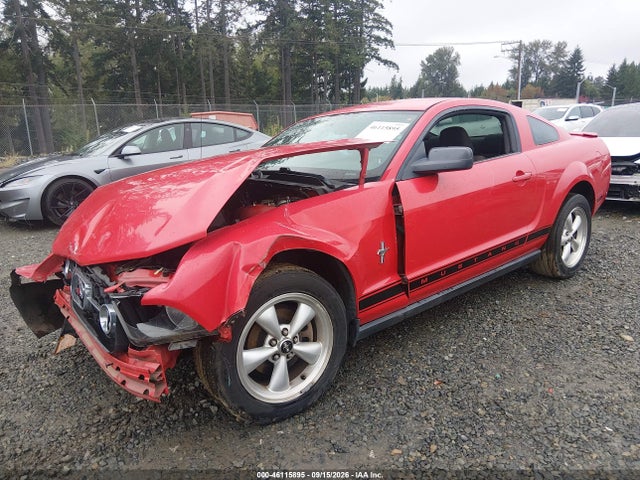 2007 Ford Mustang V6 Deluxe/v6 Premium მანქანა იყიდება აუქციონზე, vin: 1ZVHT80N475349919, აუქციონის ნომერი: 46115895