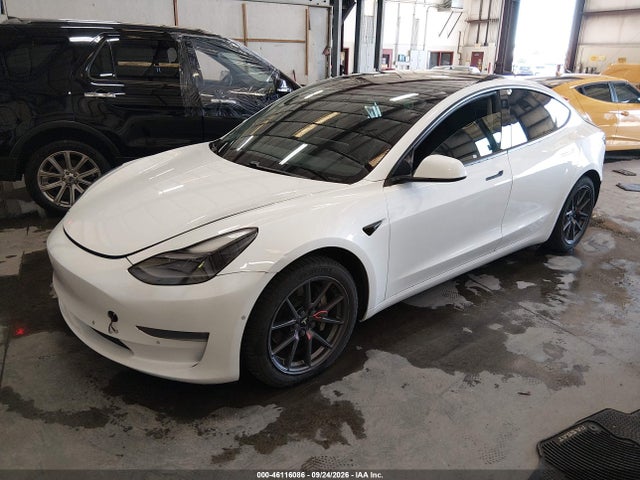 Продаж на аукціоні авто 2021 Tesla Model 3 Long Range Dual Motor All-wheel Drive, vin: 5YJ3E1EB1MF938983, номер лоту: 46116086