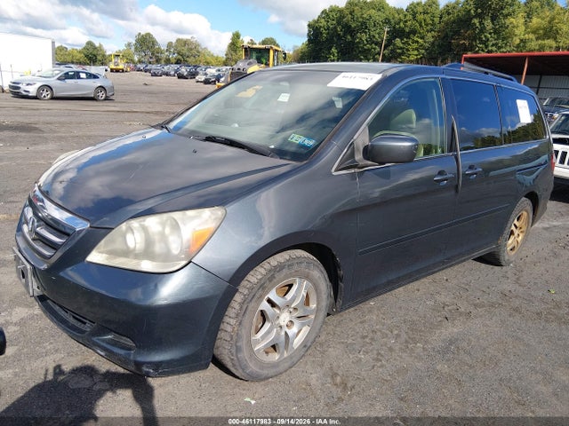 46117983 :رقم المزاد ، 5FNRL38775B053725 vin ، 2005 Honda Odyssey Ex-l مزاد بيع