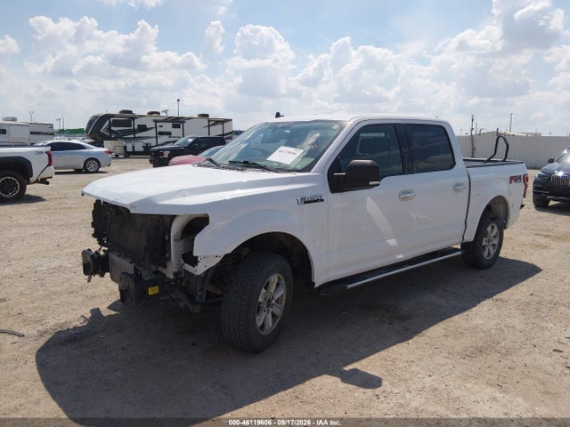 46119606 :رقم المزاد ، 1FTEW1EPXKKC20480 vin ، 2019 Ford F-150 Xlt مزاد بيع