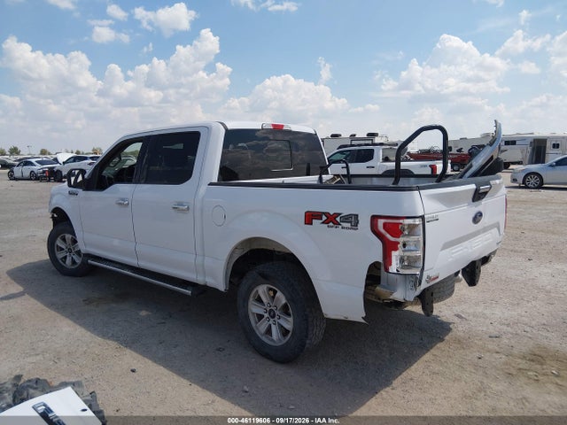 46119606 :رقم المزاد ، 1FTEW1EPXKKC20480 vin ، 2019 Ford F-150 Xlt مزاد بيع