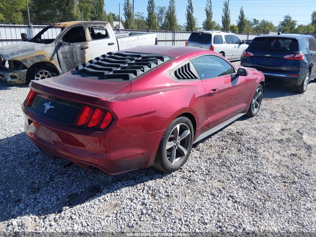 Ford Mustang V6 2015 1FA6P8AM0F5338439 Image 4