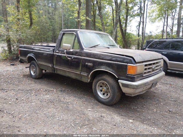 Продажа на аукционе авто 1990 Ford F150, vin: 1FTDF15N0LNA38202, номер лота: 46120326