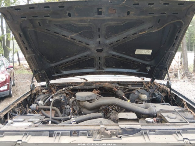 1990 Ford F150 მანქანა იყიდება აუქციონზე, vin: 1FTDF15N0LNA38202, აუქციონის ნომერი: 46120326