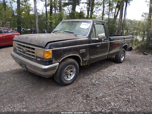1990 Ford F150 მანქანა იყიდება აუქციონზე, vin: 1FTDF15N0LNA38202, აუქციონის ნომერი: 46120326