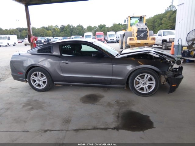 46120766 :رقم المزاد ، 1ZVBP8AM8E5313857 vin ، 2014 Ford Mustang V6 مزاد بيع