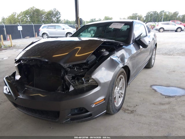46120766 :رقم المزاد ، 1ZVBP8AM8E5313857 vin ، 2014 Ford Mustang V6 مزاد بيع