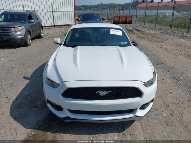 Aukcja sprzedaży 2017 Ford Mustang V6, vin: 1FA6P8AM6H5209205, numer aukcji: 46120852