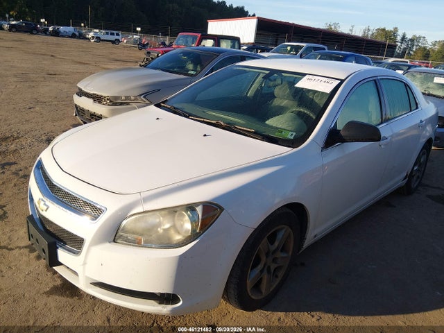 46121482 :رقم المزاد ، 1G1ZA5EB4AF105983 vin ، 2010 Chevrolet Malibu Ls مزاد بيع