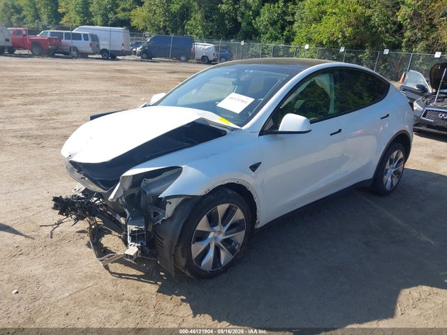 Tesla Model Y 2023 7SAYGDEE5PF663606 Image 2