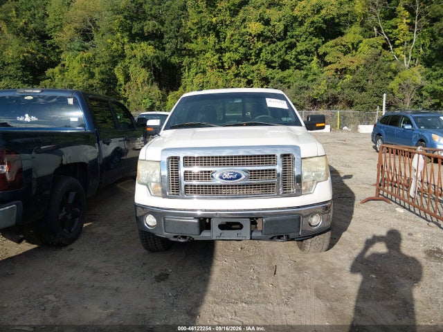 Продажа на аукционе авто 2010 Ford F-150 Fx4/harley-davidson/king Ranch/lariat/platinum/xl/xlt, vin: 1FTFW1EV2AFC94051, номер лота: 46122254