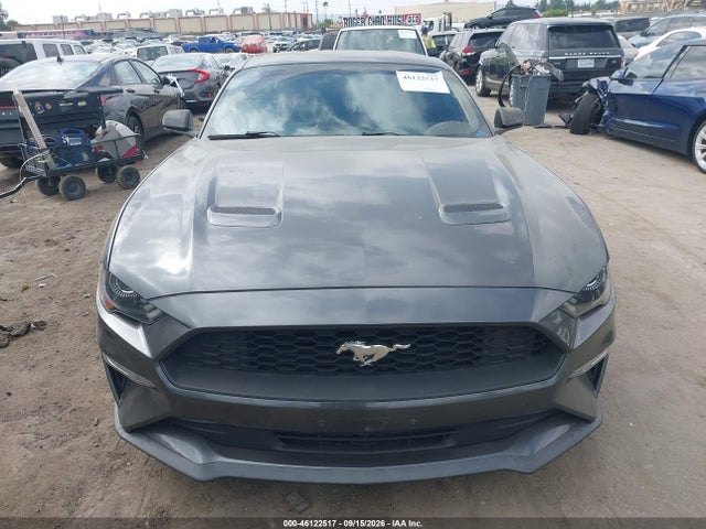 Ford Mustang Ecoboost 2019 1FA6P8TH8K5143599 Image 12