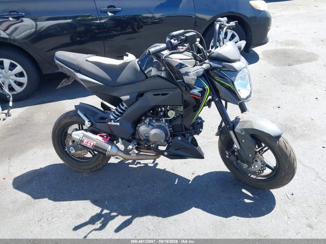 Kawasaki Br125 J 2018 JKABRRJ13JDA13844 zdjęcie główne