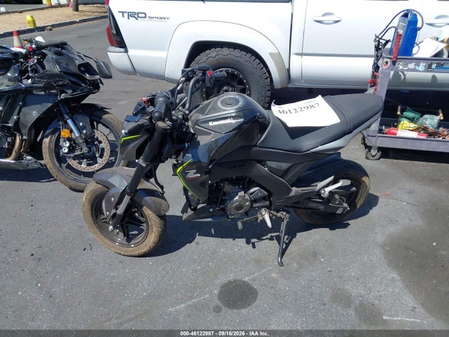 Kawasaki Br125 J 2018 JKABRRJ13JDA13844 Image 13