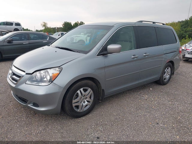 46123462 :رقم المزاد ، 5FNRL38427B028580 vin ، 2007 Honda Odyssey Ex مزاد بيع
