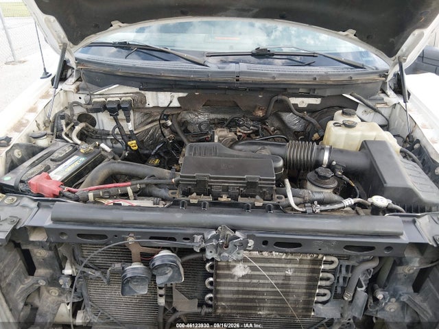 46123930 :رقم المزاد ، 1FTEX1CW7AFA84341 vin ، 2010 Ford F-150 Stx/xl مزاد بيع