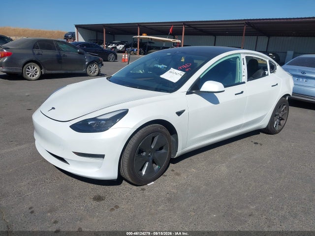 Aukcja sprzedaży 2023 Tesla Model 3 Rear-wheel Drive, vin: 5YJ3E1EA4PF576370, numer aukcji: 46124279