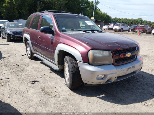 Auction sale of the 2007 Chevrolet Trailblazer Lt, vin: 1GNDT13S972139755, lot number: 46124484