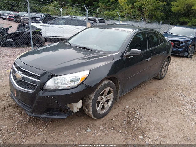 46124981 :رقم المزاد ، 1G11B5SA3DF179261 vin ، 2013 Chevrolet Malibu 1ls مزاد بيع