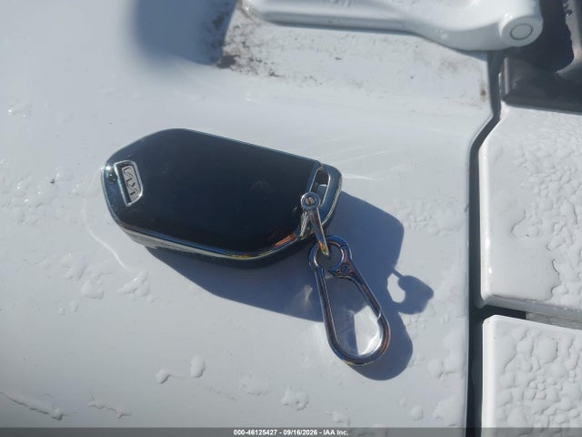 Aukcja sprzedaży 2025 Kia Sorento Hybrid Ex, vin: KNDRHDJG8S5336388, numer aukcji: 46125427