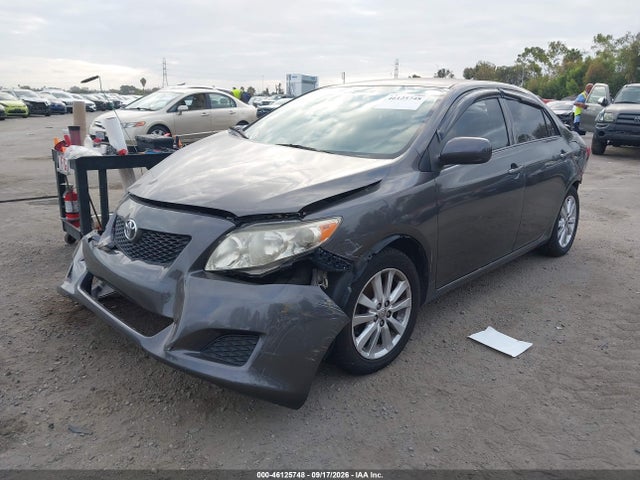 46125748 :رقم المزاد ، JTDBL40E59J043632 vin ، 2009 Toyota Corolla Le مزاد بيع