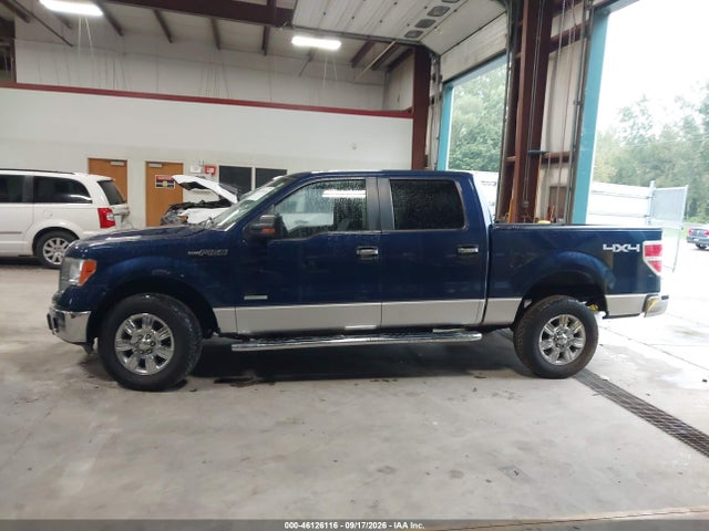 46126116 :رقم المزاد ، 1FTFW1ET0BFC47634 vin ، 2011 Ford F-150 Xlt مزاد بيع
