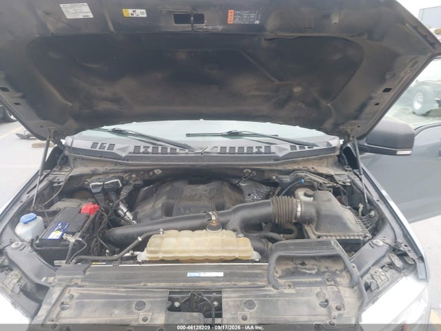 2019 Ford F-150 Xlt მანქანა იყიდება აუქციონზე, vin: 1FTFW1E42KKE65557, აუქციონის ნომერი: 46128209